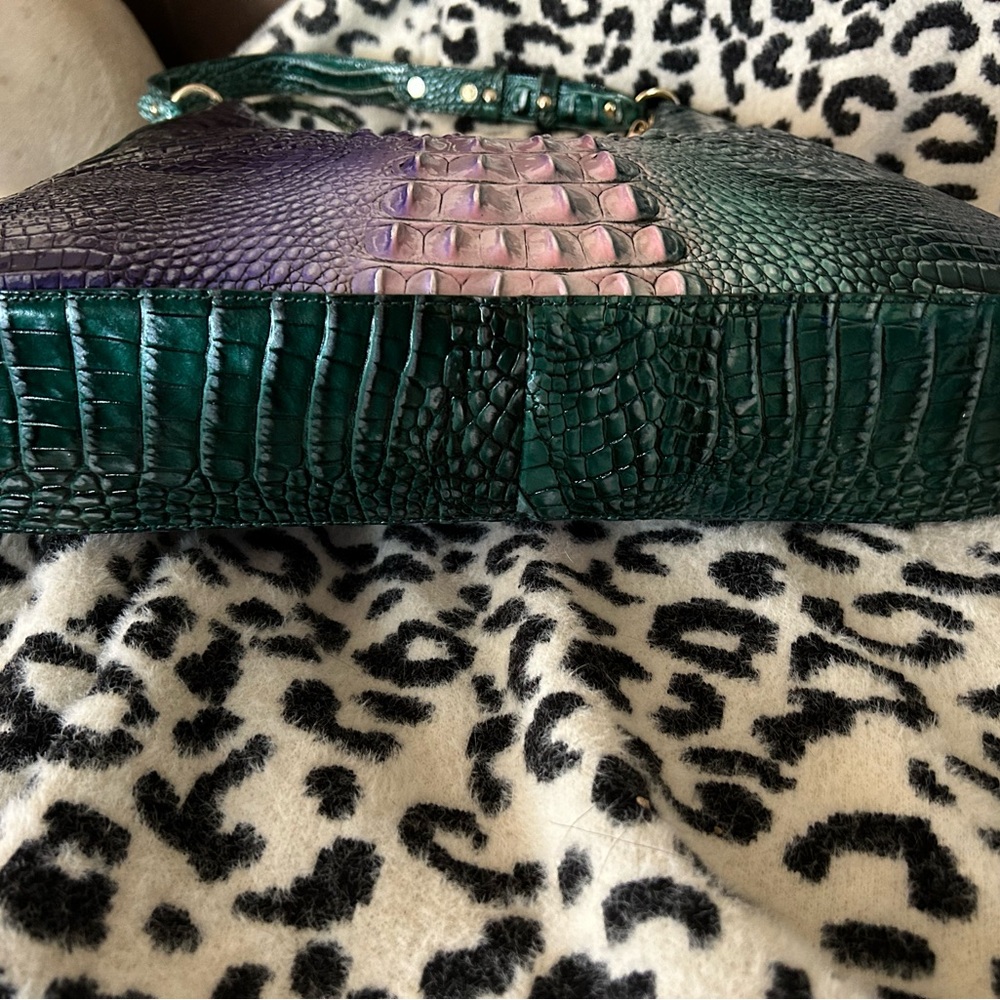 Beautiful Brahmin - Picture 3 of 5